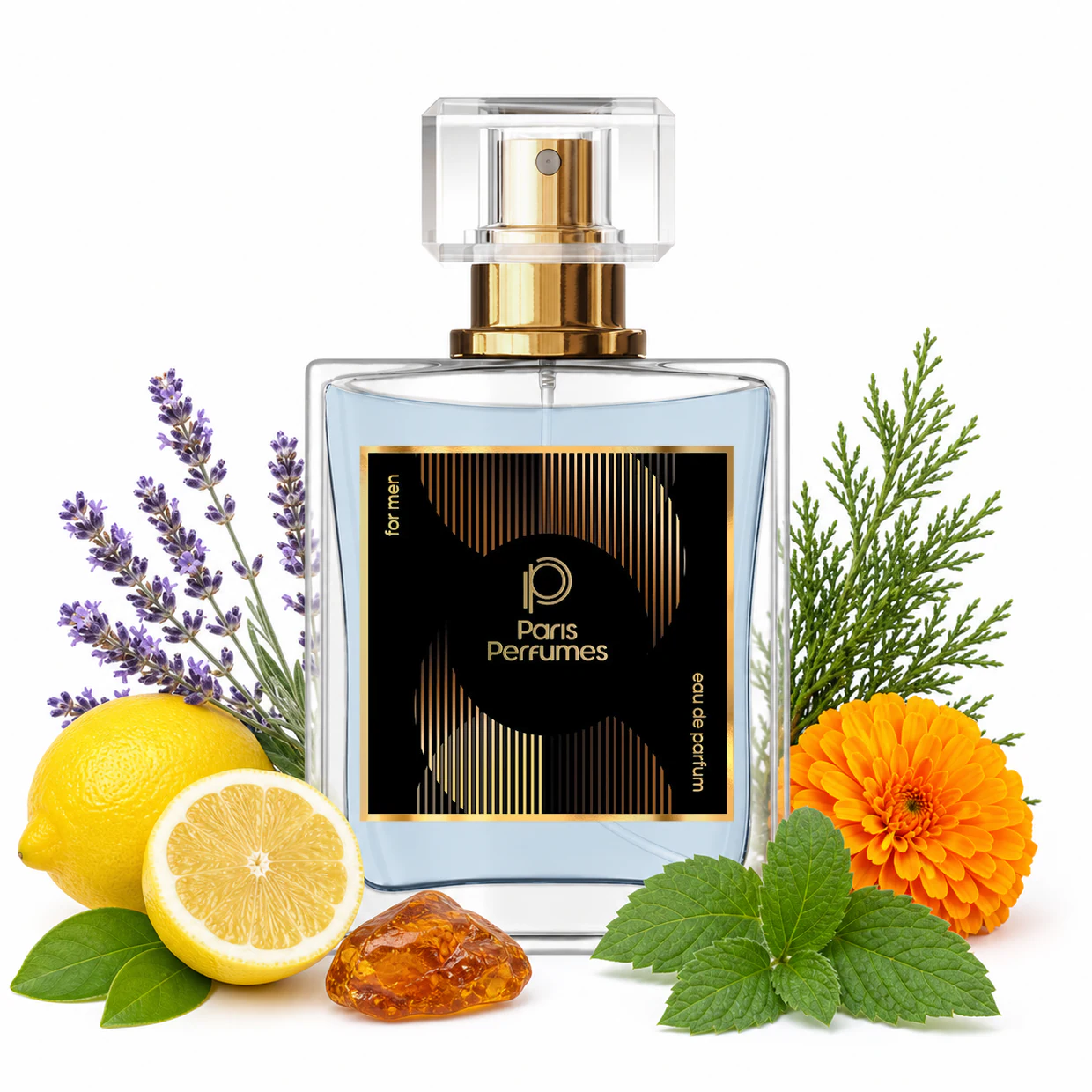 Paris Perfumes N° 585 - 21% | zamiennik Paco Rabanne Black XS L'Exces For Him