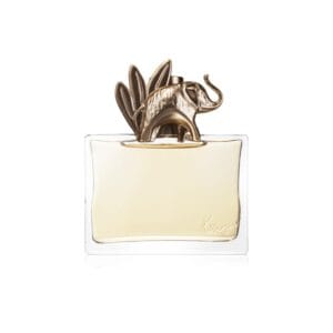 Jungle Elephant